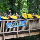 Enten_2013_07.jpg