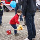Enten_2013_37.jpg