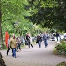 Enten_2013_11.jpg
