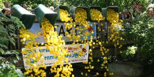 Auf Kommando wurden die Tonnen geleert und die Enten auf die Reise geschickt Foto: Kieras Freilassen der Gummienten beim 9. Siegburger Entenrennen
