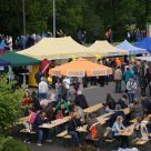 Enten_2013_30.jpg