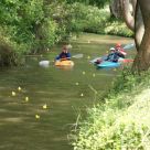 Enten_2013_24.jpg