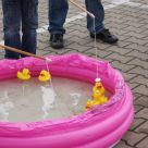 Enten_2013_38.jpg