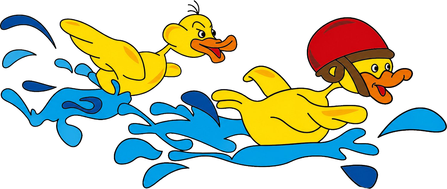 Zwei Rennenten kämpfen sich durchs Wasser – die Maskottchen des Siegburger Entenrennens